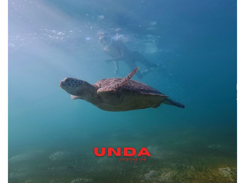 푸른 동굴 프리미엄 투어 | 사진. 동영상 무료 | 완전 전세제 | 6 세부터의 어린이도 참가 okの紹介画像