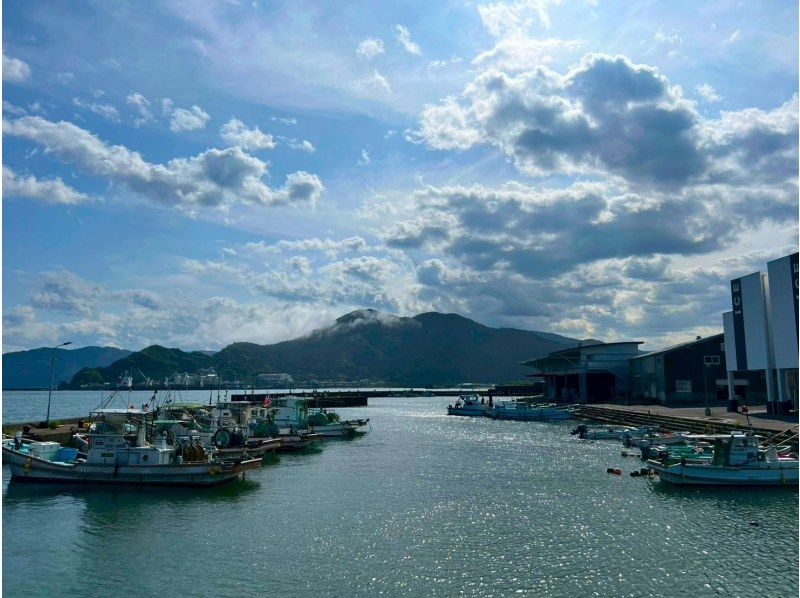 【海上玩乐学习】与当地导游、当地振兴志愿者互动！ * 悠闲漫步，探索须崎的魅力！の紹介画像