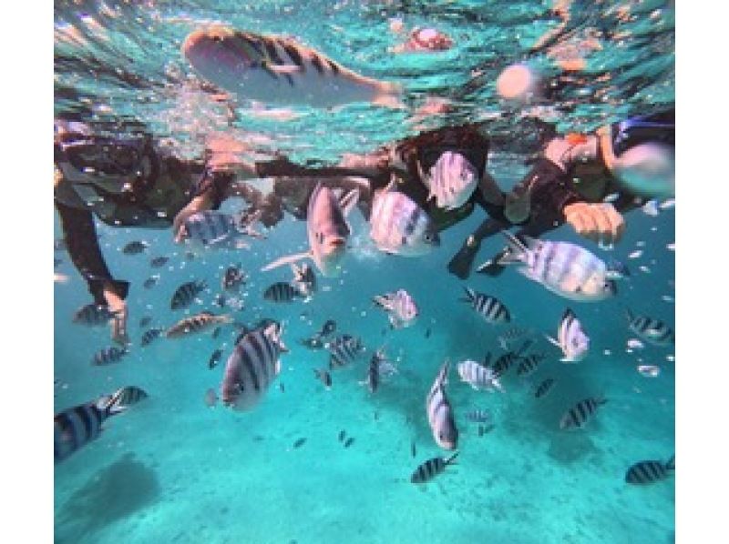 【沖縄・恩納村】青の洞窟＆カラフル熱帯魚ボートシュノーケリングツアー（GoPro撮影データ無料即渡し・追加料金一切なし）の紹介画像