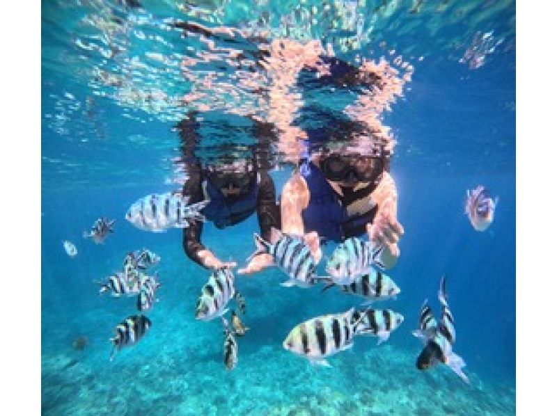 【沖縄・恩納村】青の洞窟＆カラフル熱帯魚ボートシュノーケリングツアー（GoPro撮影データ無料即渡し・追加料金一切なし）の紹介画像