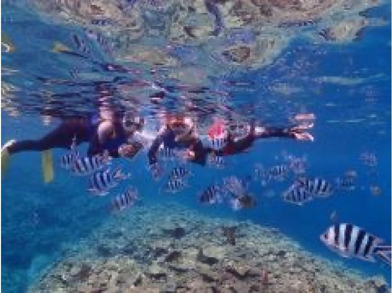 【沖縄・恩納村】青の洞窟＆カラフル熱帯魚ボートシュノーケリングツアー（GoPro撮影データ無料即渡し・追加料金一切なし）の紹介画像