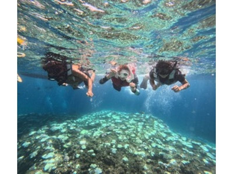 [โอกินาวา หมู่บ้านอนนะ] ทัวร์ดำน้ำตื้นด้วยเรือส่วนตัวเพื่อชมถ้ำสีน้ำเงินและปลาเขตร้อน! (ฟุตเทจ GoPro ฟรี อายุตั้งแต่ 1 ถึง 75 ปีใช้ได้)の紹介画像