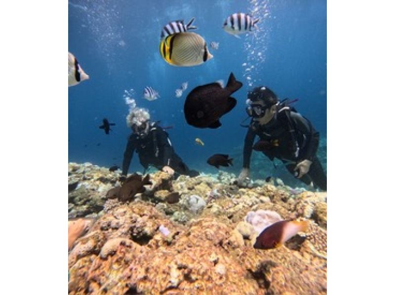 【沖縄・恩納村】青の洞窟体験ダイビングツアー （GoPro撮影データ無料即渡し・追加料金一切なし）の紹介画像