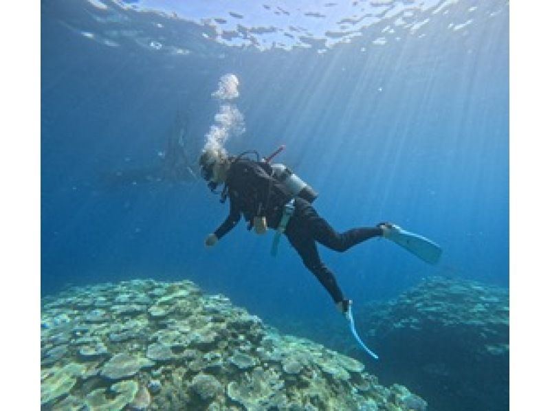 【沖縄・恩納村】青の洞窟体験ダイビングツアー （GoPro撮影データ無料即渡し・追加料金一切なし）の紹介画像