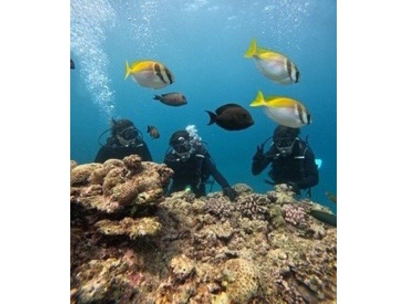 [โอกินาว่า หมู่บ้านอนนะ] ทัวร์ดำน้ำชมถ้ำสีน้ำเงินพร้อมล่องเรือและขี่จักรยานสามล้อ 3 ชั่วโมง (จัดส่งข้อมูลการถ่ายภาพ GoPro ฟรีและทันที)の紹介画像