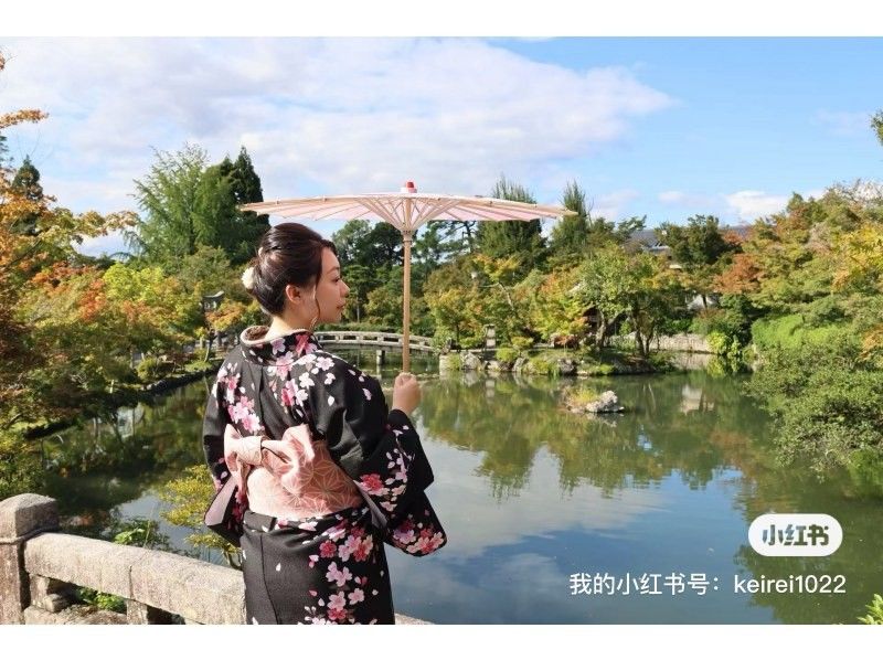 Basic kimono (regular Japanese clothing)の紹介画像