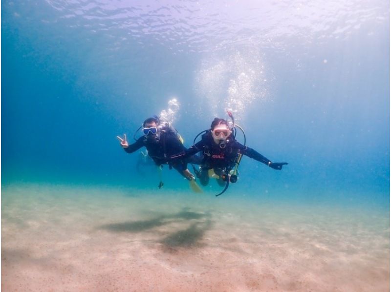 Japan's first! Kansai's largest! Trial Diving Festival in Nanki Shirahama on July 26th (Sat)の紹介画像