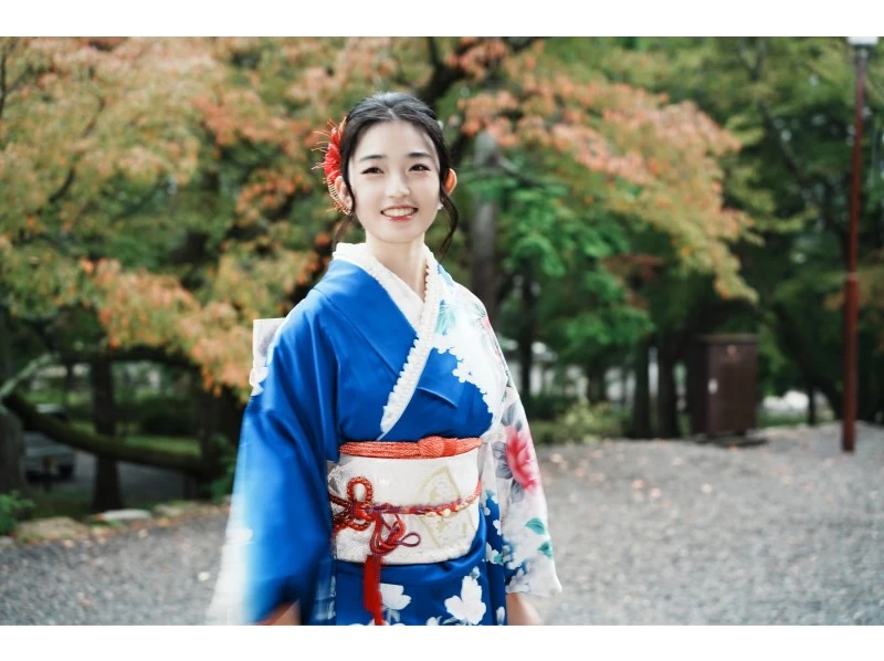 正絹振袖の紹介画像