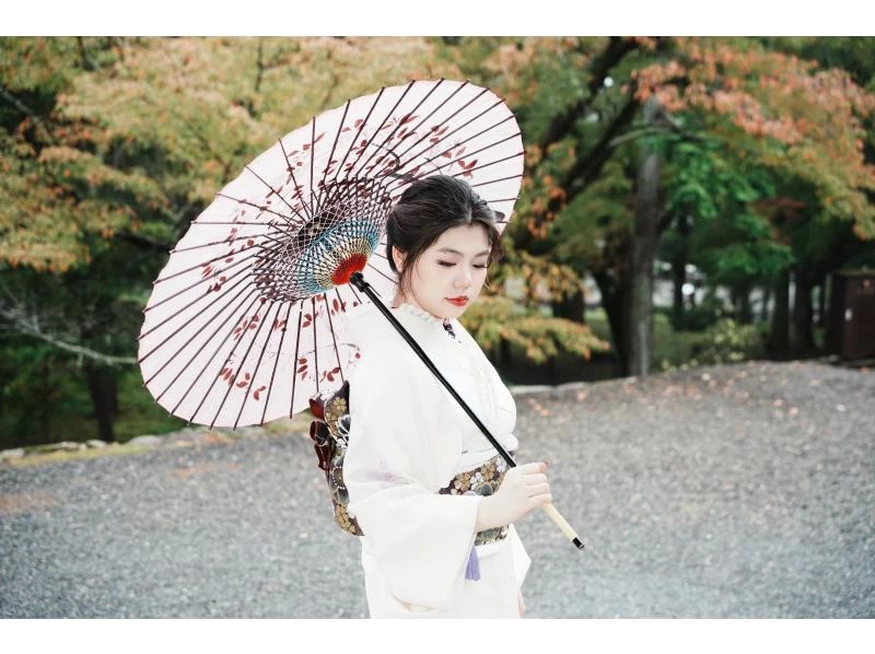 正絹振袖の紹介画像