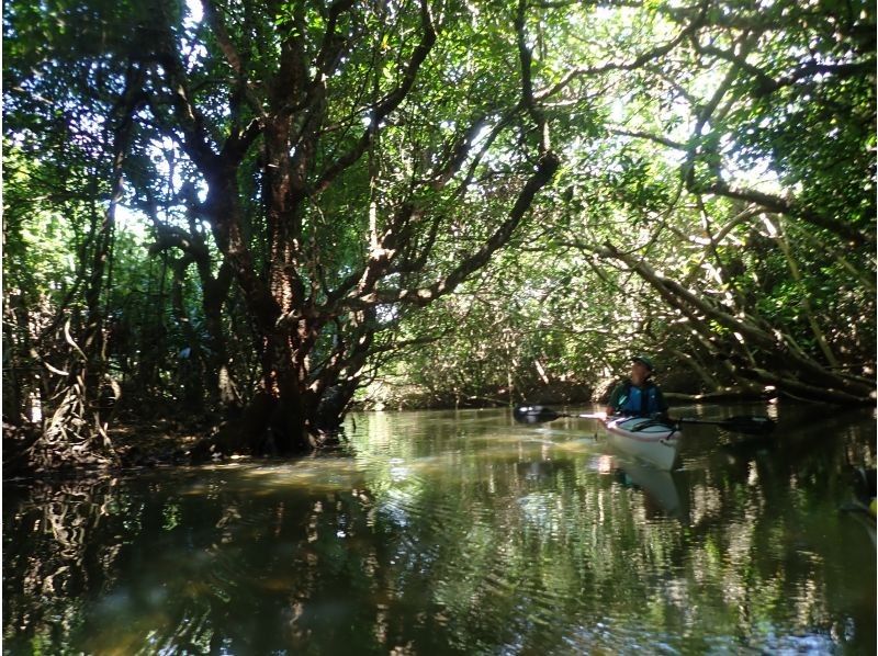 【西表島/半日ツアー】神秘のクーラ滝トレッキング！雨でも楽しいツアーです！！の紹介画像