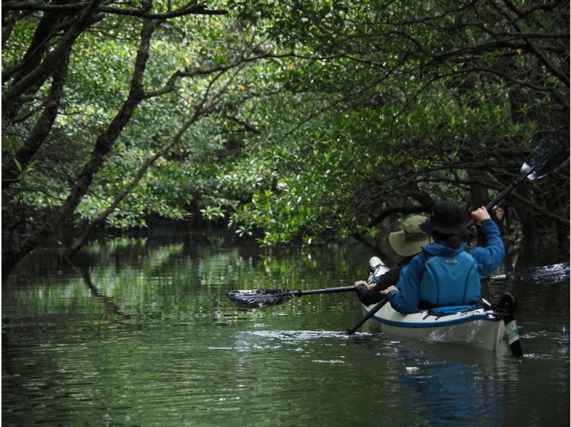 【西表島/半日ツアー】神秘のクーラ滝トレッキング！雨でも楽しいツアーです！！の紹介画像