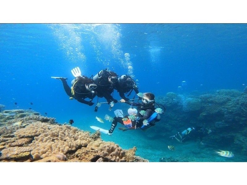 ★Okinawa, Motobu Town】Private tour for 2 people or more! Experience diving at the popular Gorilla Chop Beach ♪ Recommended for women, couples, and those who are nervous about diving for the first time!の紹介画像