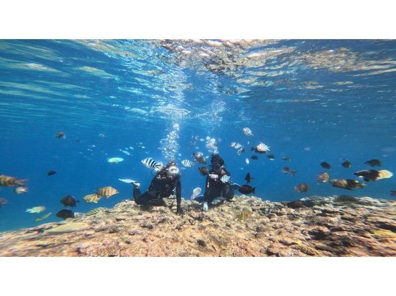 ★Okinawa, Motobu Town】Private tour for 2 people or more! Experience diving at the popular Gorilla Chop Beach ♪ Recommended for women, couples, and those who are nervous about diving for the first time!の紹介画像