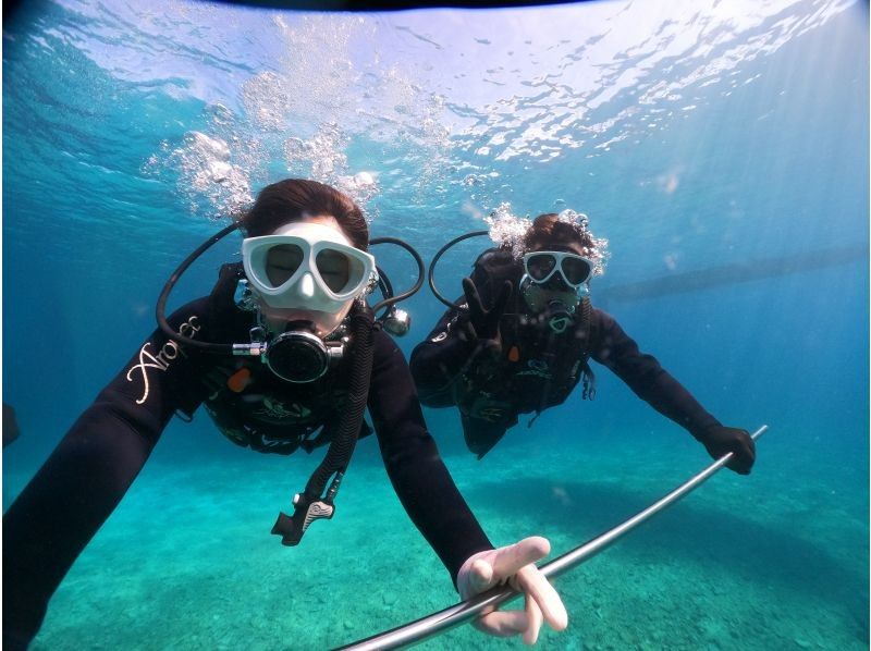 ★Okinawa, Motobu Town】Private tour for 2 people or more! Experience diving at the popular Gorilla Chop Beach ♪ Recommended for women, couples, and those who are nervous about diving for the first time!の紹介画像