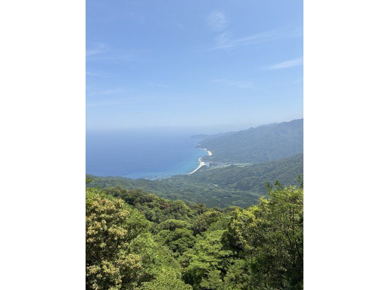 【屋久島・永田エリア】ピクニックフォトツアーの紹介画像