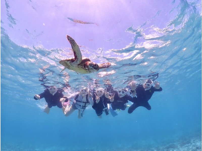 【沖縄・宮古島】写真に自信あり！うみがめ遭遇率100%継続中！うみがめシュノーケルツアー（高性能レンズ付き水中カメラ使用）の紹介画像