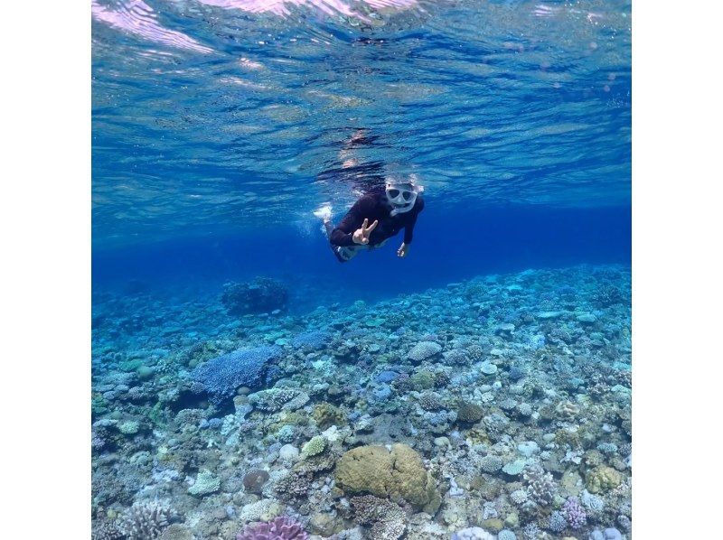[Okinawa, Kerama Islands] Enjoy the beautiful sea of Zamami Island! A guided snorkeling tour that even beginners can enjoy!の紹介画像