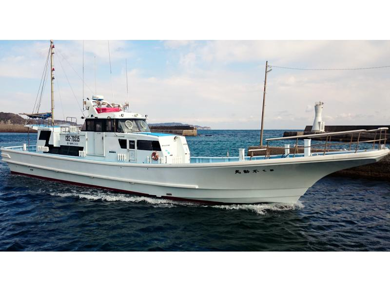 【千葉・勝浦市川津漁港】「午後便」お手軽簡単ルアーで多彩なお魚を釣り上げちゃおう！スーパーライトジギング体験　初心者、お子様、女性歓迎の紹介画像