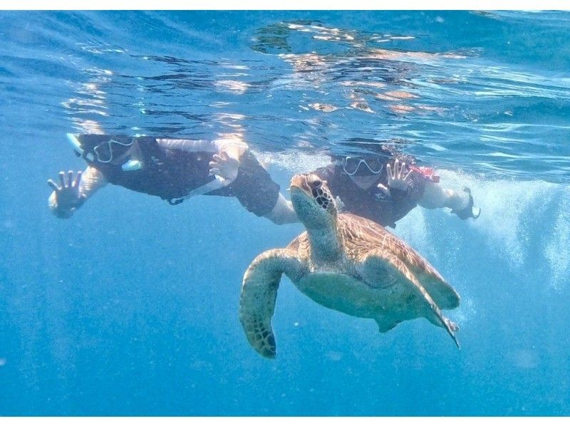 ウミガメ見れなきゃ全額返金！！【青の洞窟ウミガメシュノーケル】のんびり6人までご案内♪ゴープロ・シャワー完備！初心者大歓迎！の紹介画像