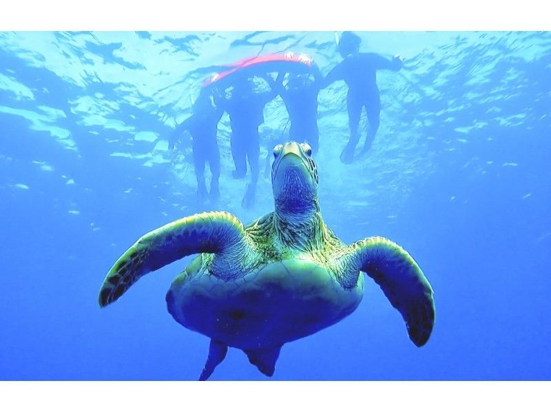 島生まれ島育ちガイド【青の洞窟ウミガメ遭遇率100%継続中シュノーケル‼️】のんびり6人までご案内♪ゴープロ・シャワー完備！初心者大歓迎！の紹介画像