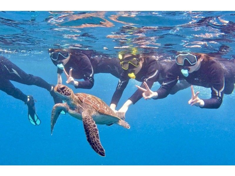 ウミガメ見れなきゃ全額返金！！【青の洞窟ウミガメシュノーケル】のんびり6人までご案内♪ゴープロ・シャワー完備！初心者大歓迎！の紹介画像
