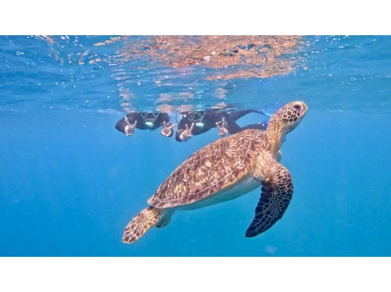ウミガメ見れなきゃ全額返金！！【青の洞窟ウミガメシュノーケル】のんびり6人までご案内♪ゴープロ・シャワー完備！初心者大歓迎！の紹介画像