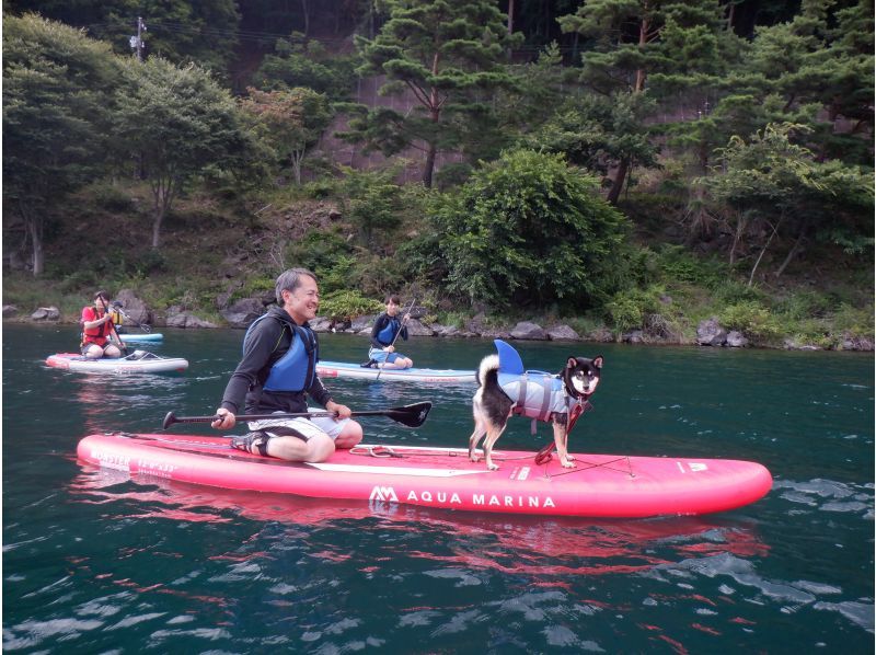 【山梨・西湖・SUPレンタル】SUP一式レンタルして自由にクルージング！120分の紹介画像