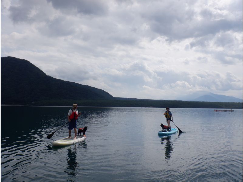 【山梨・西湖・SUPレンタル】SUP一式レンタルして自由にクルージング！120分の紹介画像