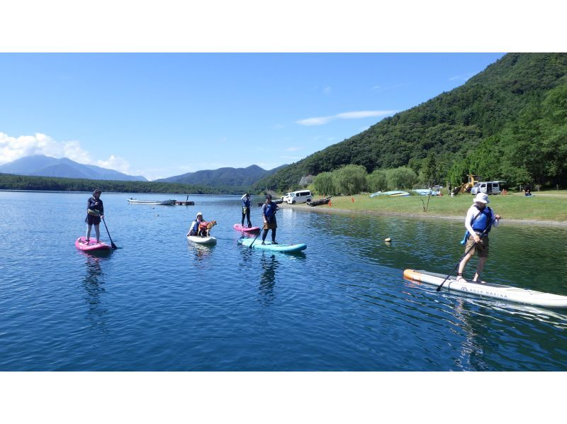 【山梨・西湖・SUPレンタル】SUP一式レンタルして自由にクルージング！120分の紹介画像