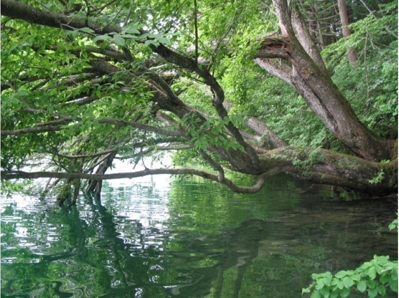 【長野・大町市　移住・カヌー】信濃大町移住相談+青木湖ボヤジャーカヌーピクニックツアー  ティータイム 　【スイーツ付き】の紹介画像