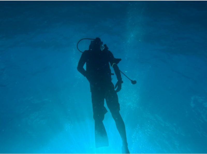 【北谷発着】ダイバーへの第一歩！オープンウォーターライセンス（PADI）講習！の紹介画像