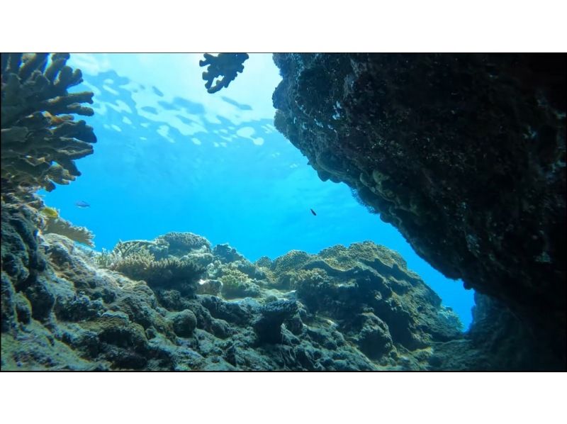 【北谷発着】ダイバーへの第一歩！オープンウォーターライセンス（PADI）講習！の紹介画像