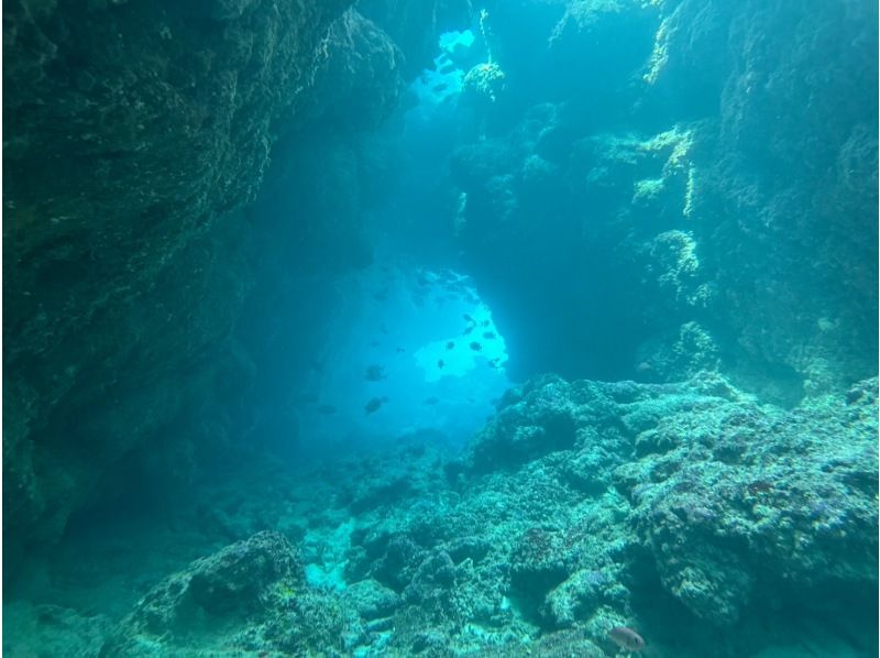 【沖縄・北部エリア・ライセンス】ダイバーへの第一歩！オープンウォーターライセンス（PADI）講習！の紹介画像
