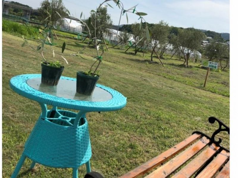 [Nara/Nara city] BBQ experience on a lush lawn! Private 3-hour planの紹介画像