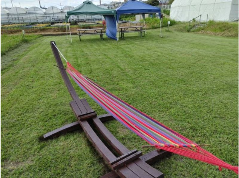 [Nara/Nara city] BBQ experience on a lush lawn! Private 3-hour planの紹介画像
