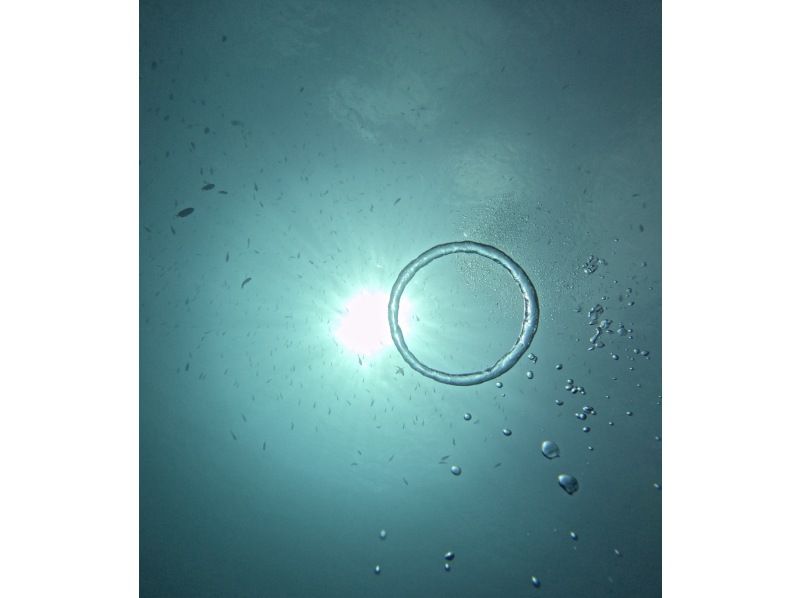 スキンダイビング【沖縄本島・ゴリラチョップ等】♡ 初心者・お一人様・グループ（日本語・English）の紹介画像