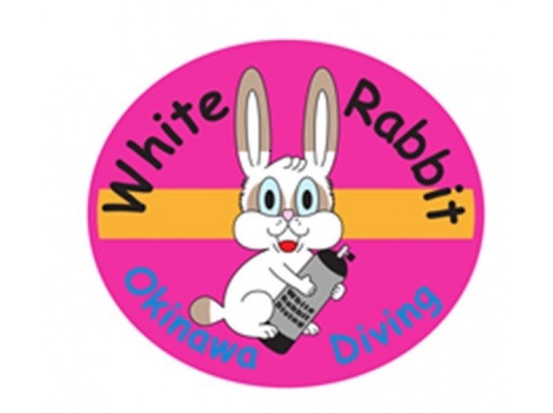 スキンダイビング【沖縄本島・ゴリラチョップ等】♡ 初心者・お一人様・グループ（日本語・English）の紹介画像