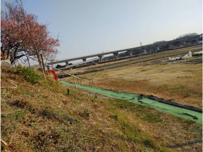 [Nara/Nara city] BBQ experience on a lush lawn! Private one-day planの紹介画像