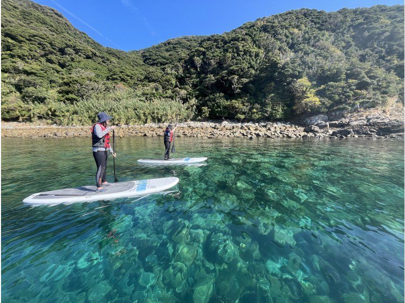 【長崎・五島】約2000万年前の地層で地球の歴史を感じる断崖絶壁SUPツアーの紹介画像
