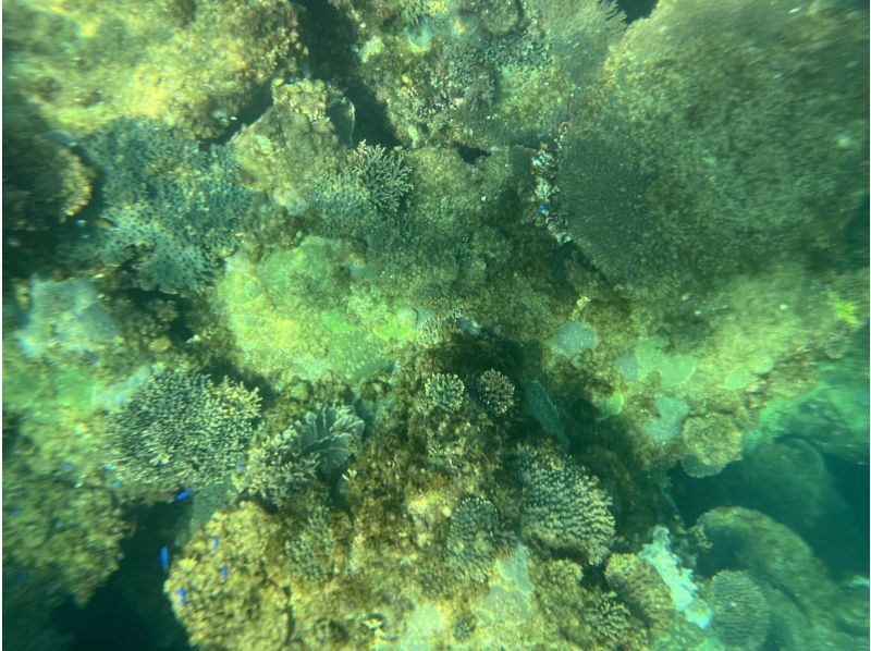 【長崎・五島】約2000万年前の地層で地球の歴史を感じる断崖絶壁SUPツアーの紹介画像