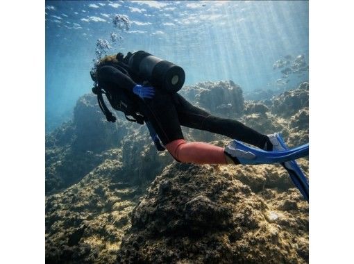 【沖縄・青の洞窟】1組限定価格!体験ダイビング貸切プラン!<2時間半>☆ボート併用で『高確率』で青の洞窟に案内可能☆餌付け、写真、動画付き! 【沖縄・青の洞窟】1組限定価格!体験ダイビング貸切プラン!<2時間半>☆ボート併用で『高確率』で青の洞窟に案内可能☆餌付け、写真、動画付き!