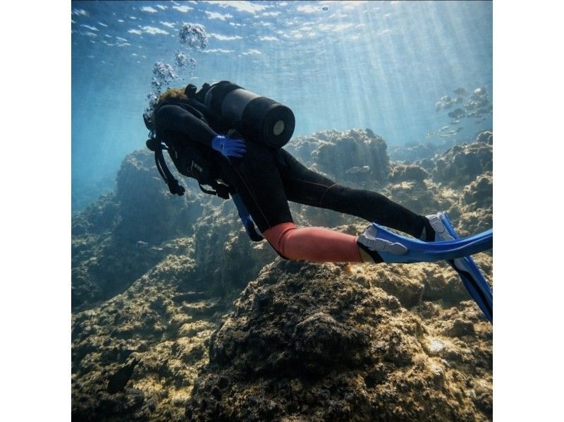 【沖縄・青の洞窟】１組限定価格！体験ダイビング貸切プラン！＜２時間半＞☆ボート併用で『高確率』で青の洞窟に案内可能☆餌付け、写真、動画付き！の紹介画像