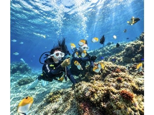 【沖縄・青の洞窟】1組貸切・専属ガイドの体験ダイビング|GoPro写真&動画無料・撮影データ即日スマホへ・初心者大歓迎・当日予約OK 【沖縄・青の洞窟】1組貸切・専属ガイドの体験ダイビング|GoPro写真&動画無料・撮影データ即日スマホへ・初心者大歓迎・当日予約OK