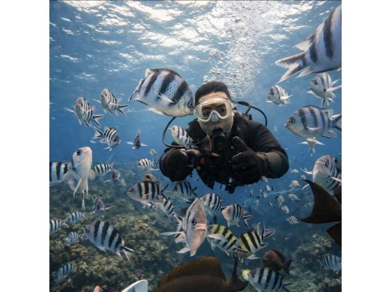 【沖縄・青の洞窟】１組限定価格！体験ダイビング貸切プラン！＜２時間半＞☆ボート併用で『高確率』で青の洞窟に案内可能☆餌付け、写真、動画付き！の紹介画像