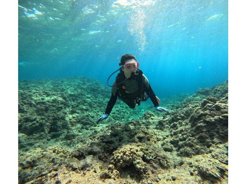 [Okinawa Blue Cave] Popular with women and children! Blue Cave Boat Diving Plan ~ High probability of being guided to the Blue Cave! (Unlimited photo and video taking + free feeding)の紹介画像