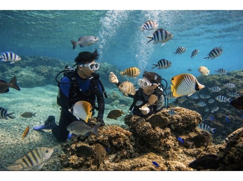 【沖縄・青の洞窟】１組限定価格！体験ダイビング貸切プラン！＜２時間半＞☆ボート併用で『高確率』で青の洞窟に案内可能☆餌付け、写真、動画付き！の紹介画像