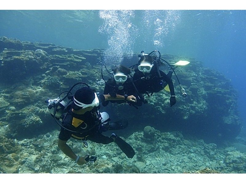 [Okinawa Blue Cave] Popular with women and children! Blue Cave Boat Diving Plan ~ High probability of being guided to the Blue Cave! (Unlimited photo and video taking + free feeding)の紹介画像