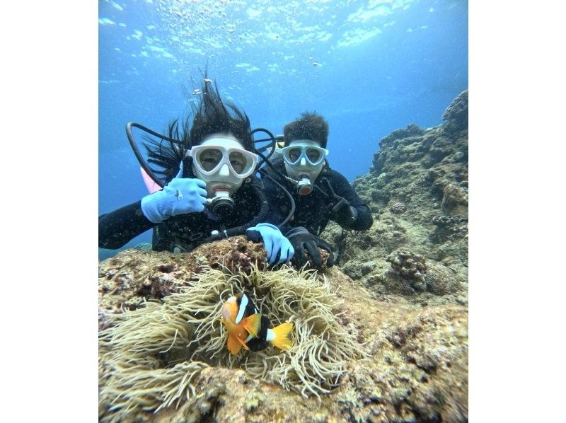 [Okinawa Blue Cave] Popular with women and children! Blue Cave Boat Diving Plan ~ High probability of being guided to the Blue Cave! (Unlimited photo and video taking + free feeding)の紹介画像