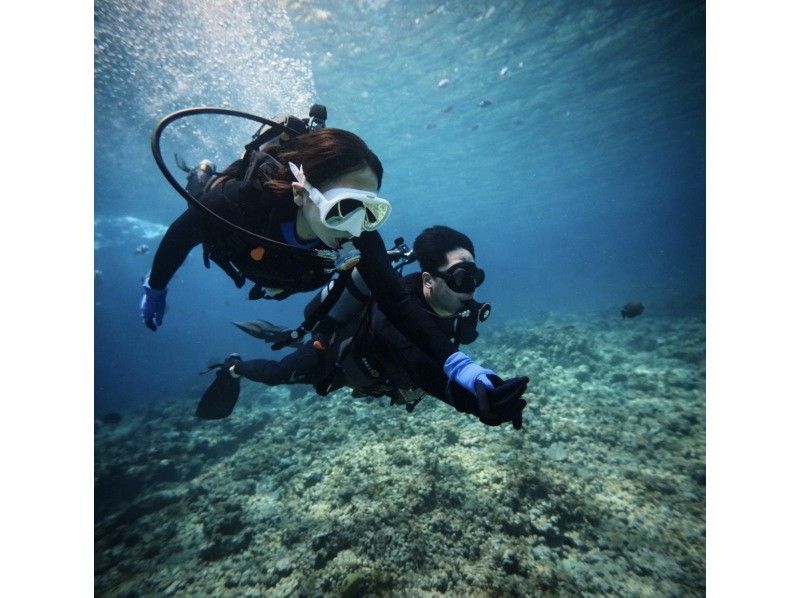 【沖縄・青の洞窟】１組限定価格！体験ダイビング貸切プラン！＜２時間半＞☆ボート併用で『高確率』で青の洞窟に案内可能☆餌付け、写真、動画付き！の紹介画像