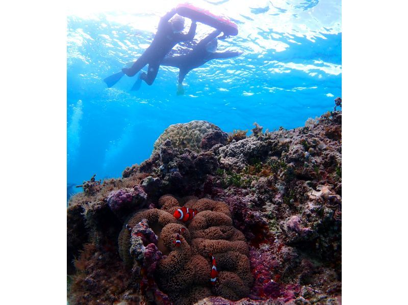 [Ishigaki Island Greedy 1-Day Snorkeling Course] Landing on a phantom island & snorkeling with corals, fish and sea turtles! Summer vacation ♪ Great for families ◎ Free underwater photography!の紹介画像